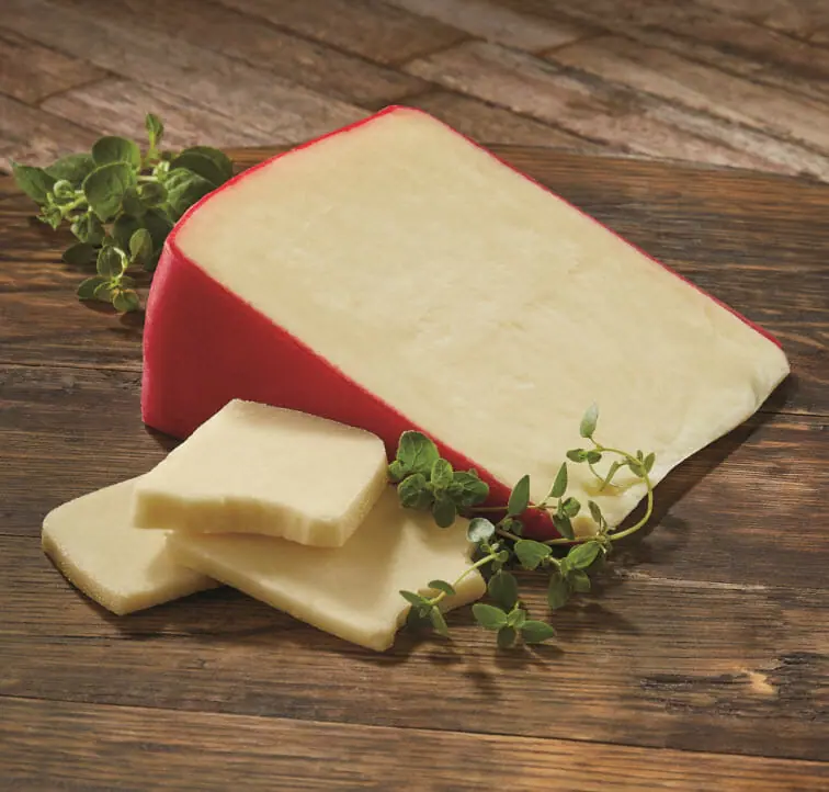 Fontina Cheese