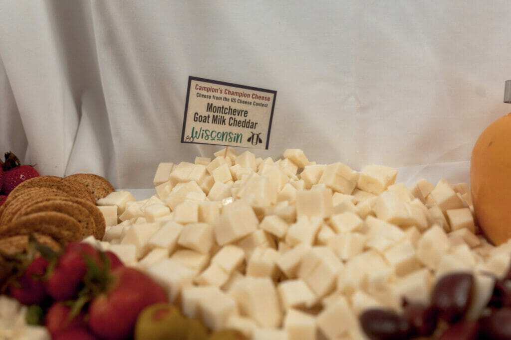 Goat Cheese Feel Like A Kid Again